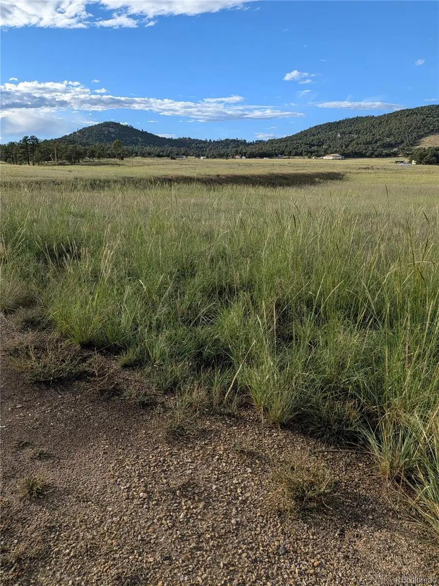 1263 23rd Trail, Cotopaxi, CO 81223 - #3