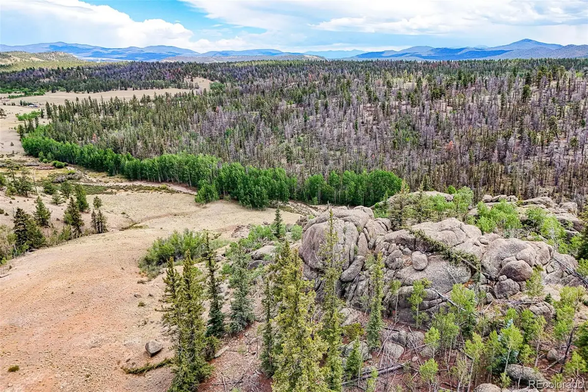 1111 Latigo Loop, Guffey, CO 80820 - #1
