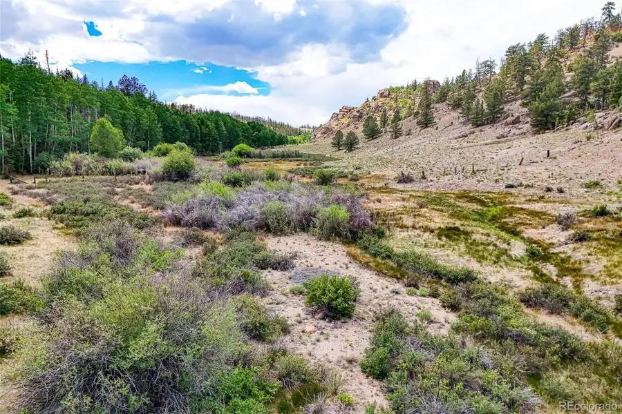 1111 Latigo Loop, Guffey, CO 80820 - #2