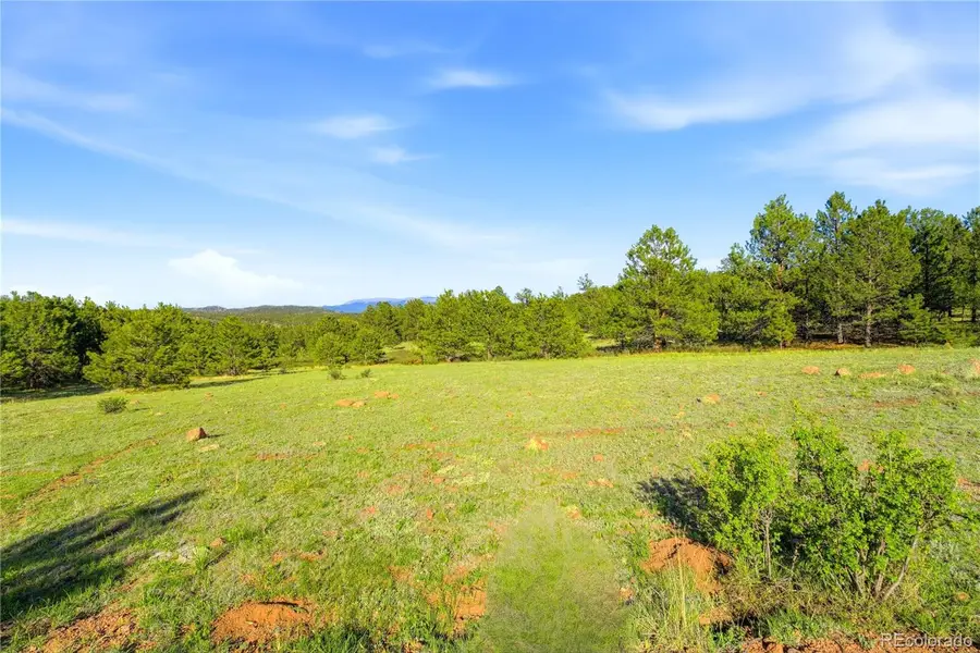 Doe Valley Road, Guffey, CO 80820 - #2