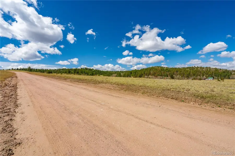 1265 County Rd 403, Florissant, CO 80816 - #3