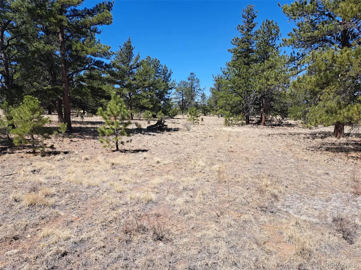 235 Maricopa Trail, Hartsel, CO 80449 - #1