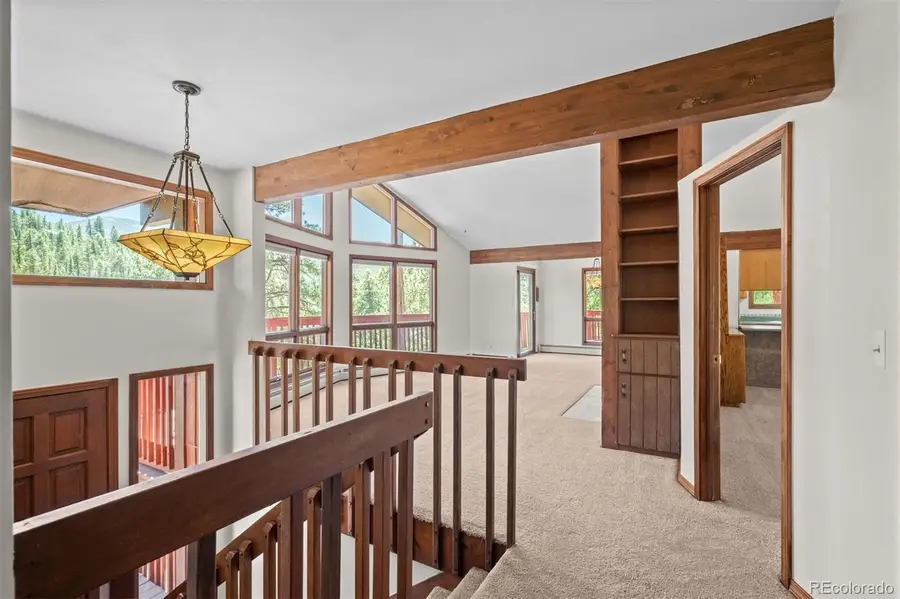 33057 Little Cub Road, Evergreen, CO 80439 - #3