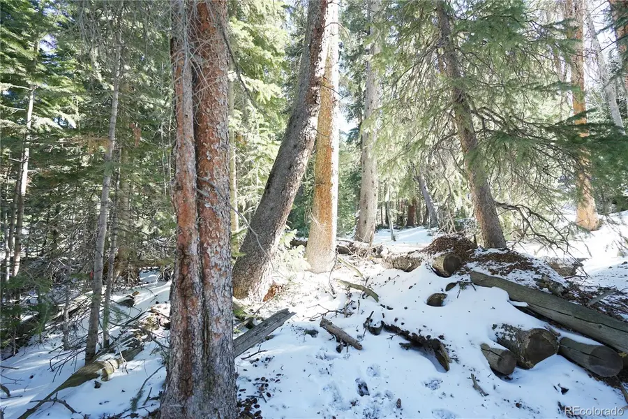 14 Rena Road, Breckenridge, CO 80424 - #3