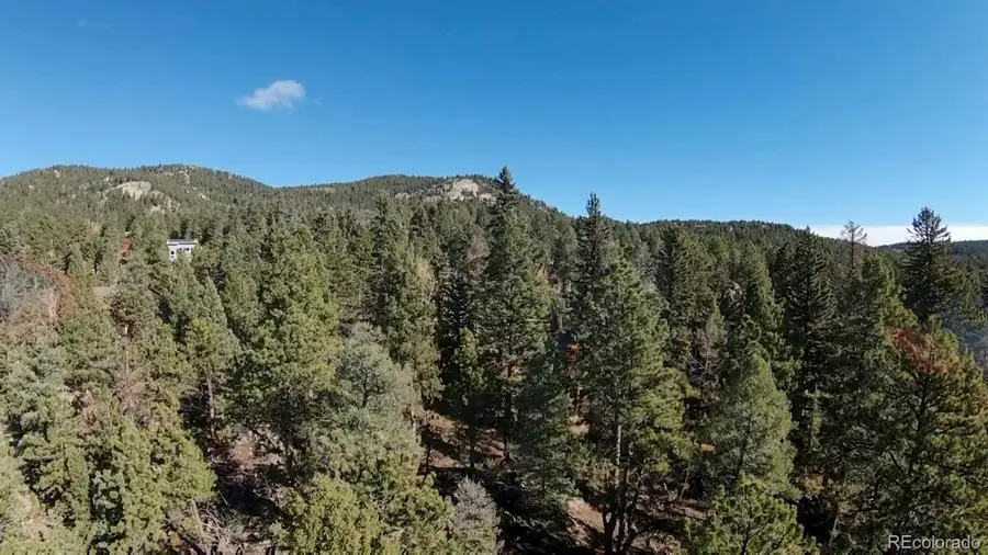 12282 Hosman, Conifer, CO 80433 - #2