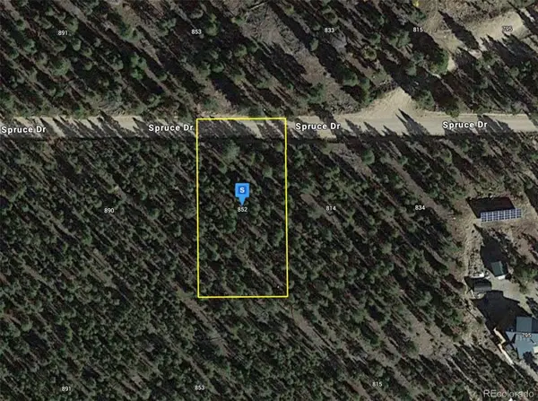 852 Spruce Drive, Twin Lakes, CO 81251