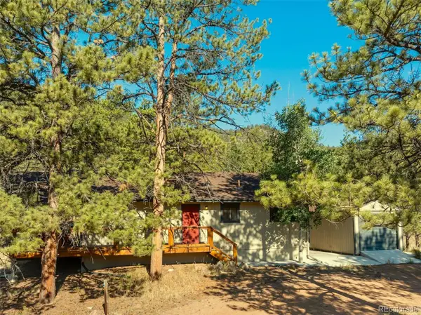 62 White Trail, Lake George, CO 80827