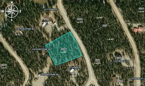 587 Puma Place, Fairplay, CO 80440