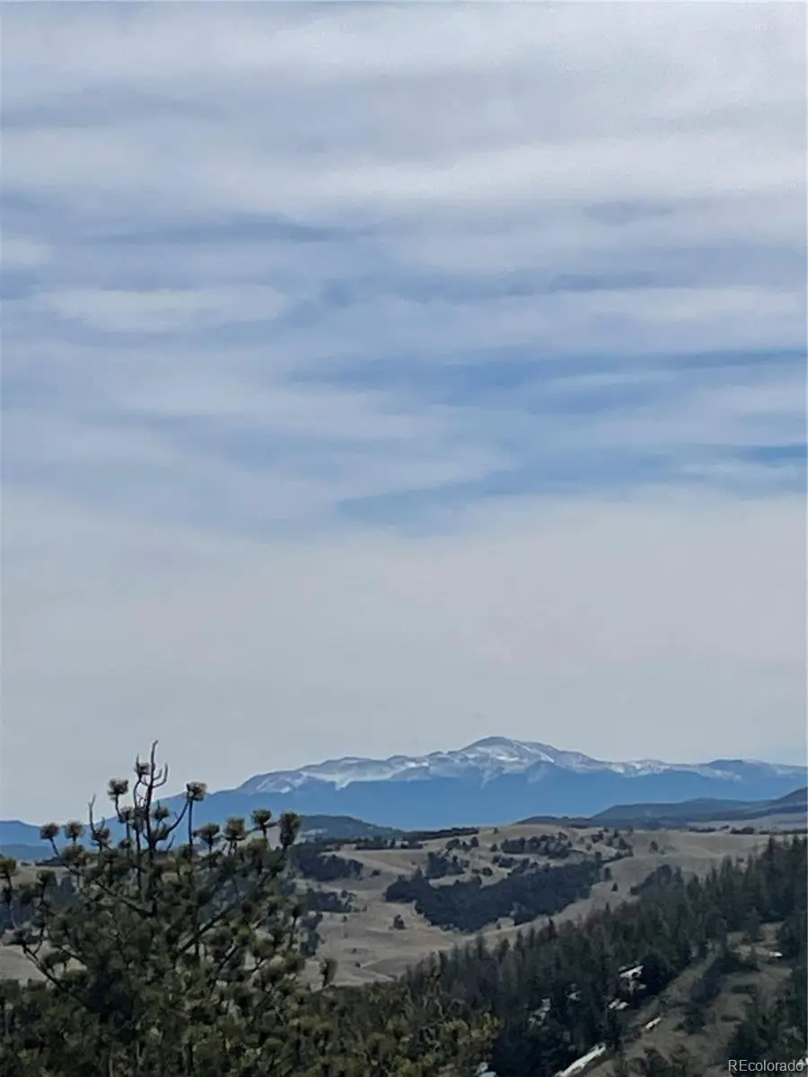 Antelope Road, Hartsel, CO 80449 - #2