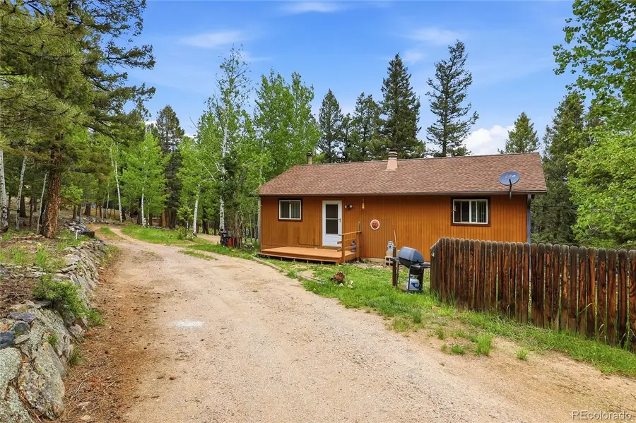 175 Mount Bailey Drive, Bailey, CO 80421 - #2