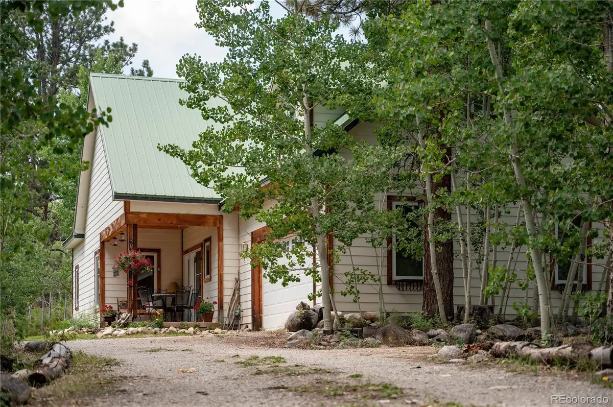 14820 Little Beaver Lane, Nathrop, CO 81236 - #1
