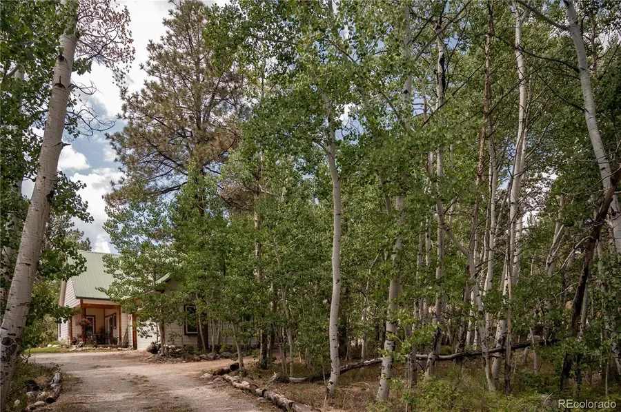 14820 Little Beaver Lane, Nathrop, CO 81236 - #2