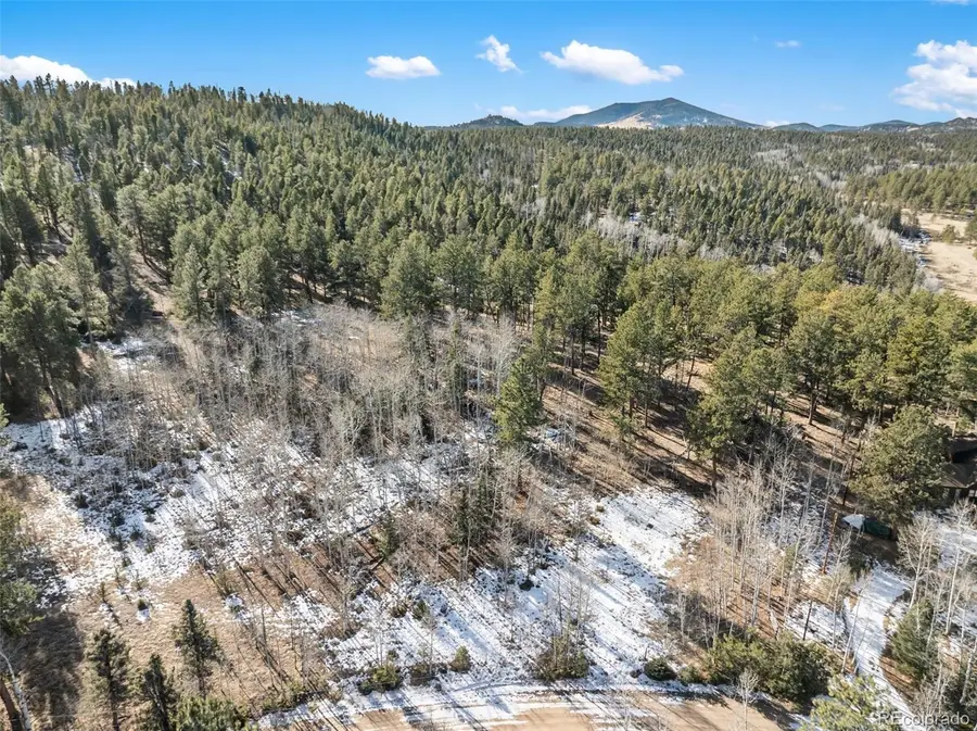 Lot 20 Echo Lake Drive, Lake George, CO 80827 - Image #3