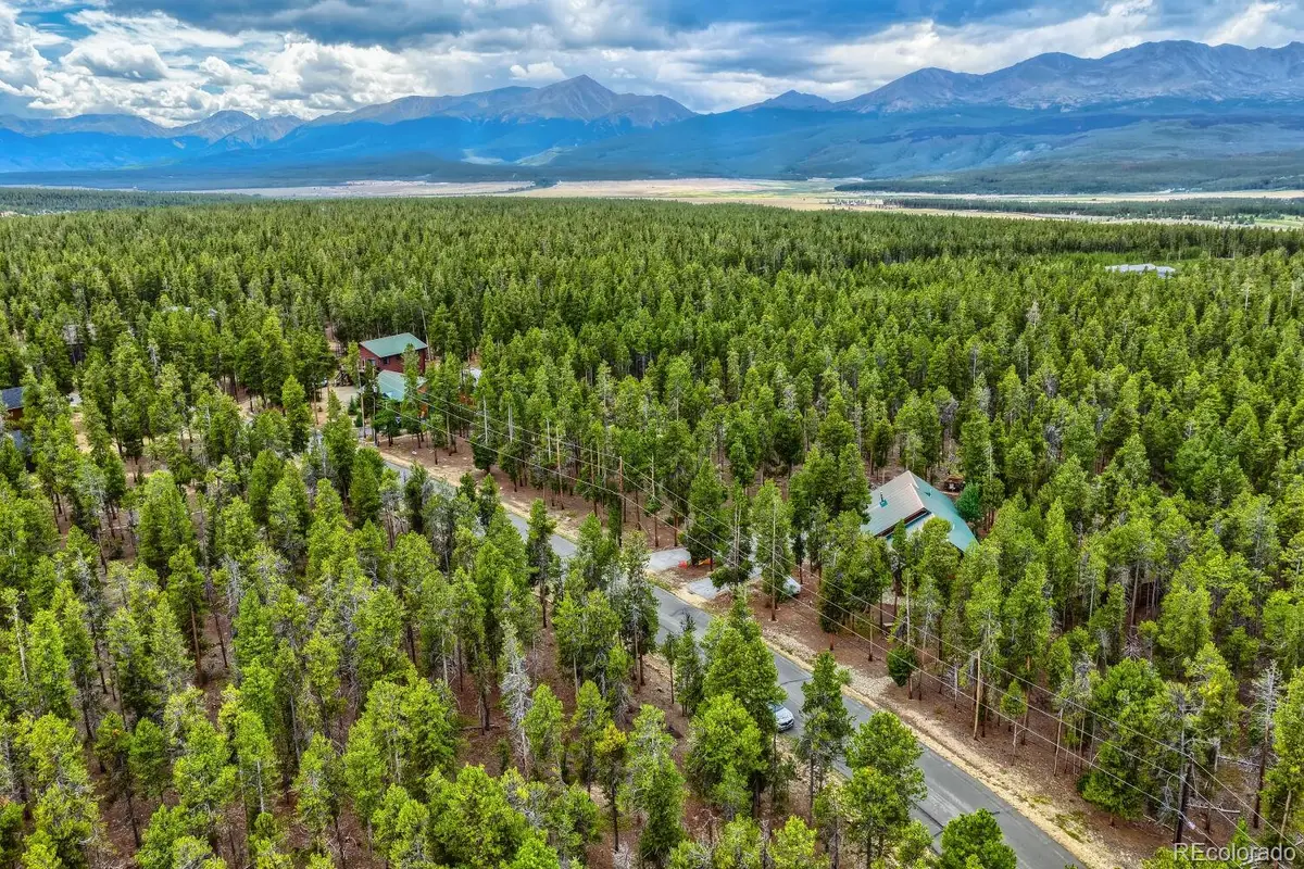 836 Baby Doe Drive, Leadville, CO 80461 - #1