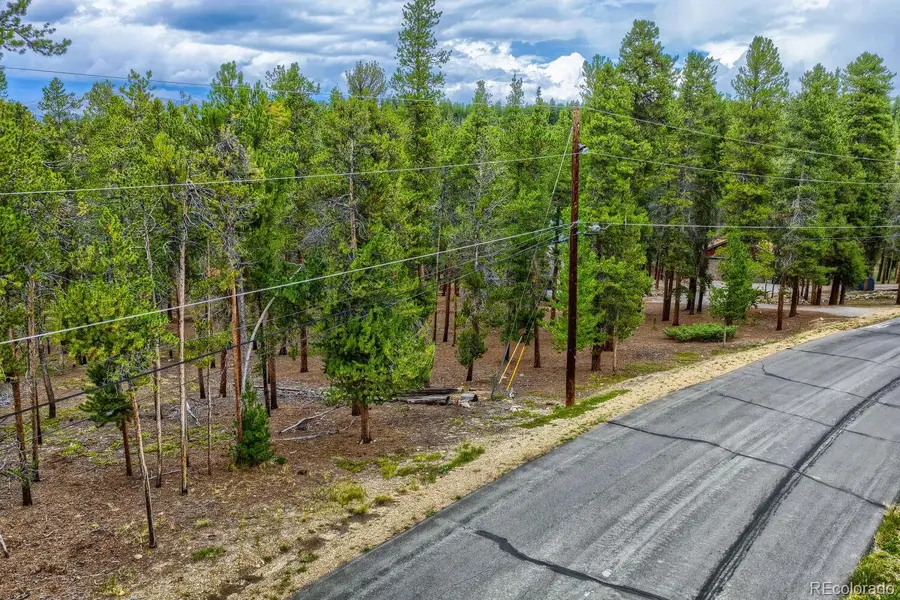 836 Baby Doe Drive, Leadville, CO 80461 - #3