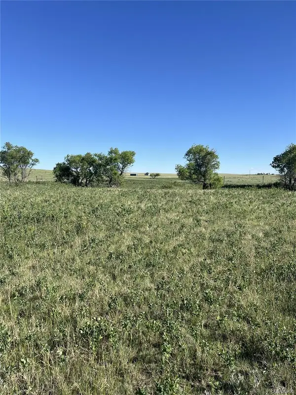 27933 Private Road 139, Simla, CO 80835