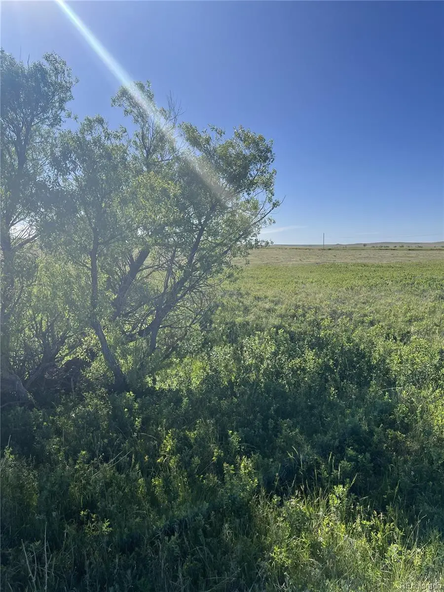27933 Private Road 139, Simla, CO 80835 - #2