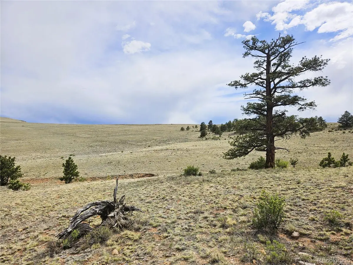 PCS#24131 Chato Road, Hartsel, CO 80449 - #1