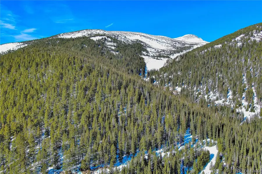 Nebraska Circle, Idaho Springs, CO 80452 - #3