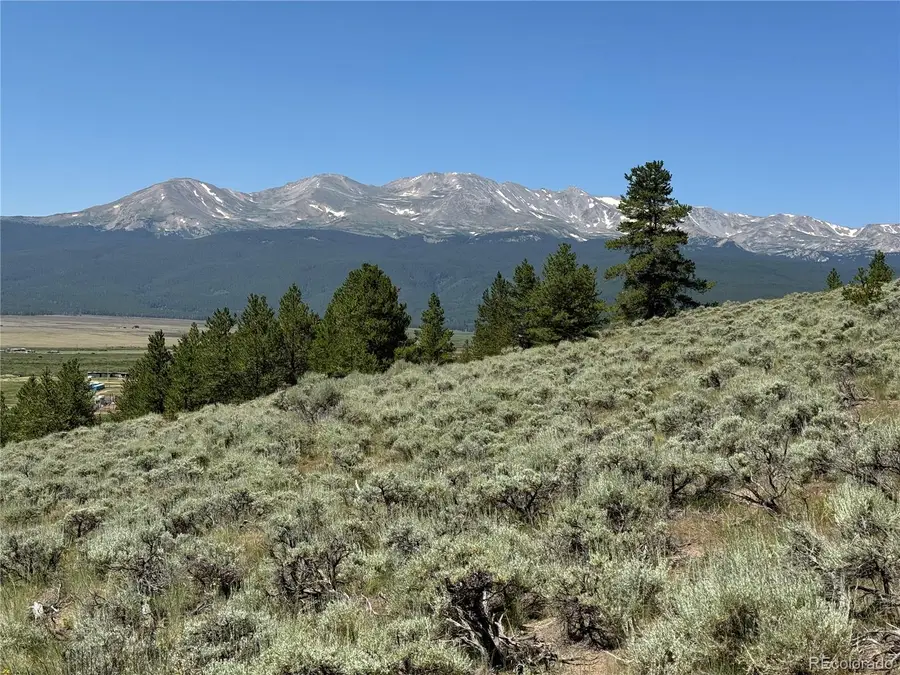 8361 Bank Placer, Leadville, CO 80461 - #2