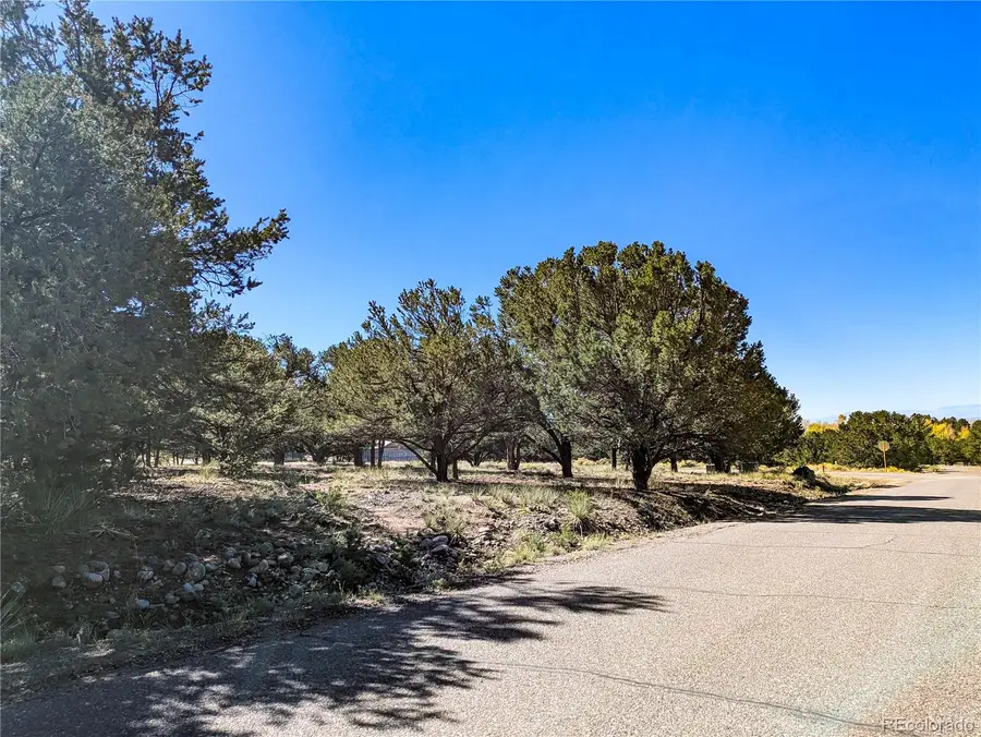 112 Baca Grant, Crestone, CO 81131 - #3
