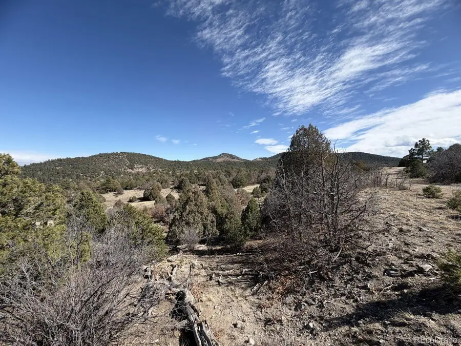 91 King Place, Cotopaxi, CO 81223 - #2