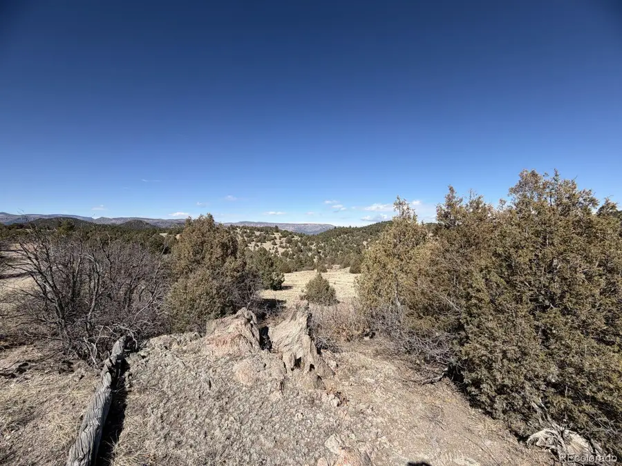 91 King Place, Cotopaxi, CO 81223 - #3