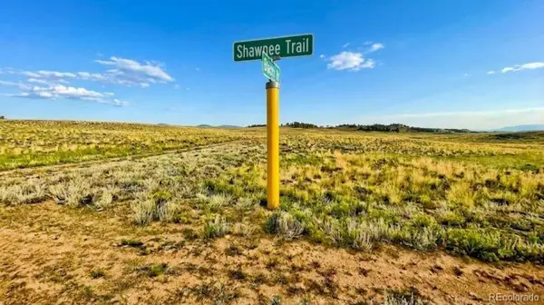 10341 Caddo Road, Hartsel, CO 80449