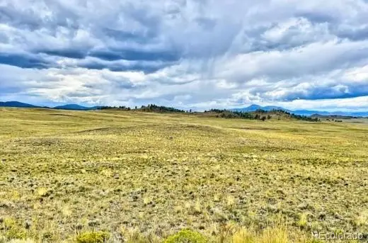 10341 Caddo Road, Hartsel, CO 80449 - #3