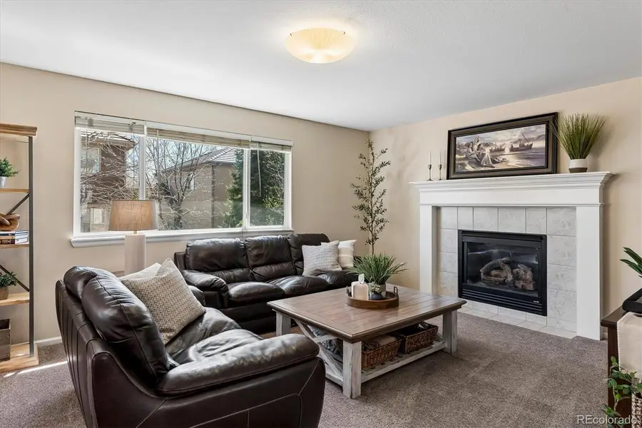 10534 Westcliff Place, Highlands Ranch, CO 80130 - #3