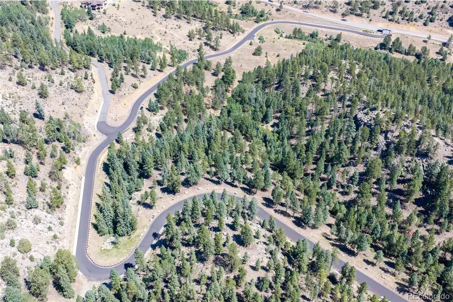 14850 Quandary Peak Road, Pine, CO 80470 - #2