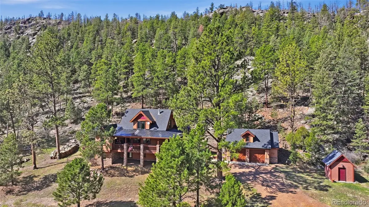 89 Ranch View, Florissant, CO 80816 - #1
