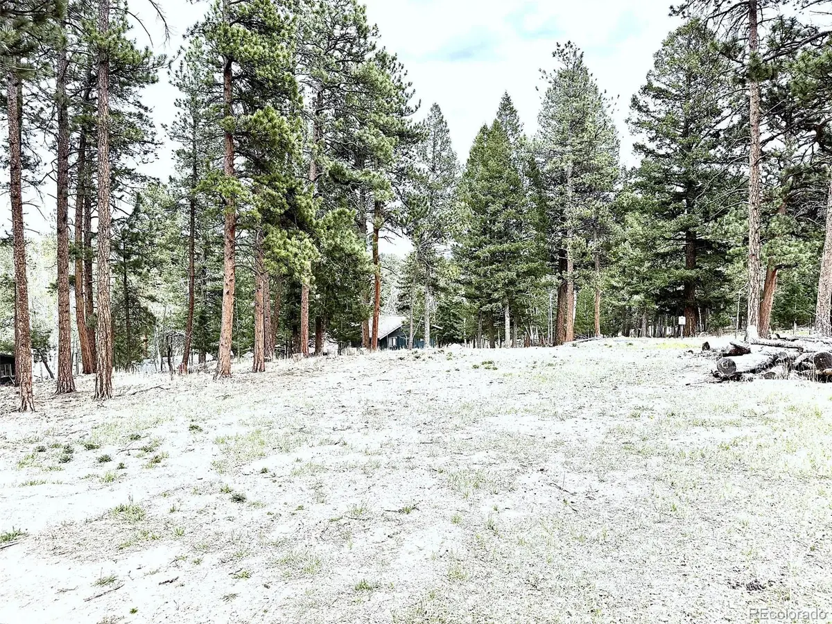 252 Beaver Trail, Bailey, CO 80421 - #1