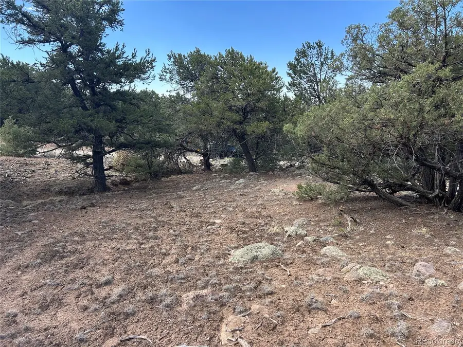 1761 Summitview Way, Crestone, CO 81131 - #3