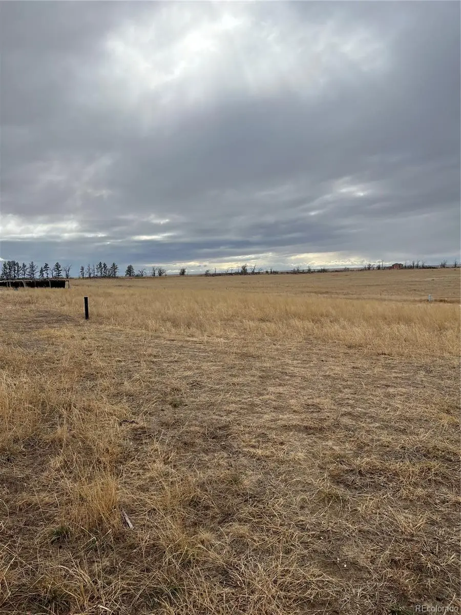 2101 Behrens Road, Byers, CO 80103 - #3