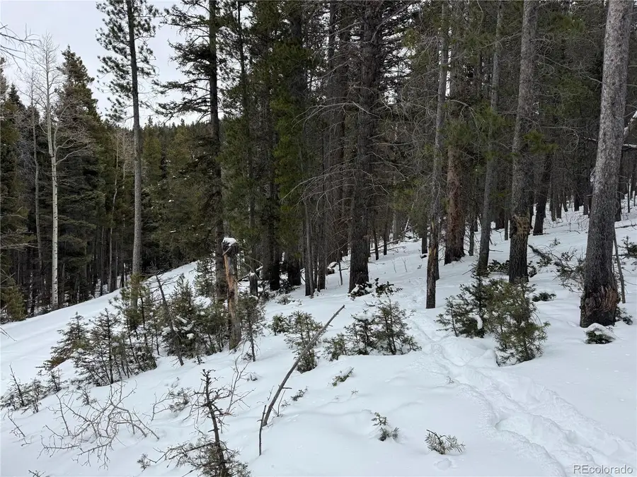 Lot 2759 Purnell Lane, Fort Garland, CO 81133 - Image #2