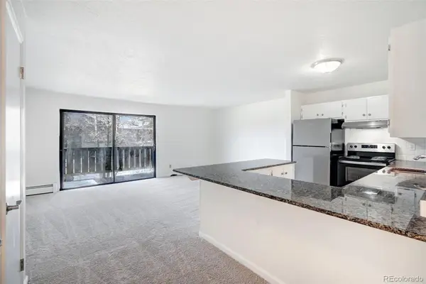 893 Straight Creek Drive #203, Dillon, CO 80435
