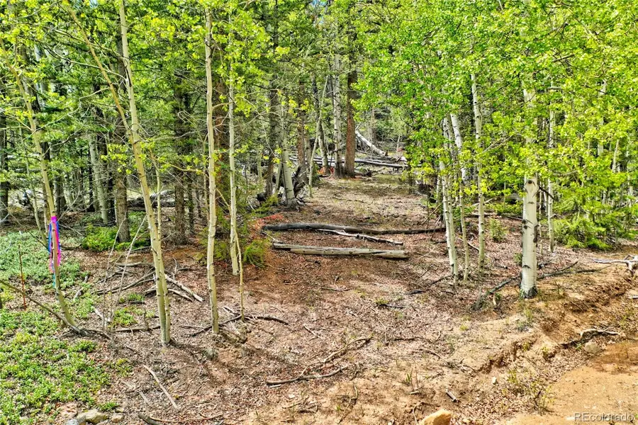 28 Old Squaw Road, Jefferson, CO 80456 - #3