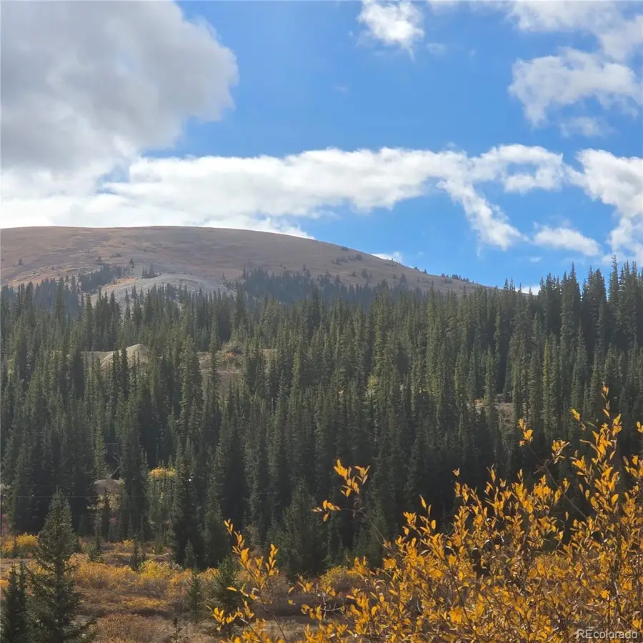 5347 Monitor Lode Claims, Leadville, CO 80461 - Image #2