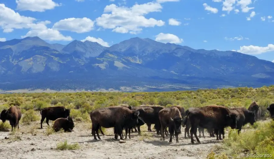 6150 Tim Road, Garcia, CO 81152 - #2