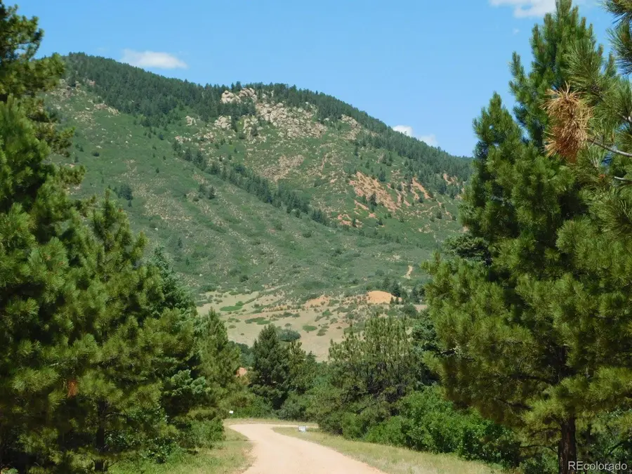 6447 Thunderbird Road, Larkspur, CO 80118 - #2