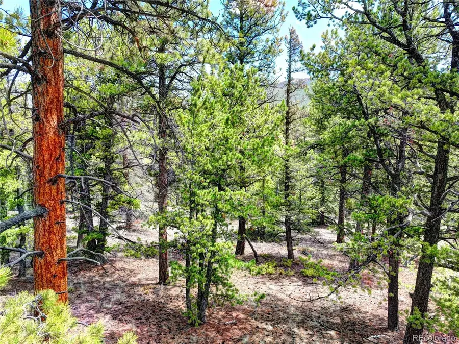 0 York Court, Jefferson, CO 80456 - #2