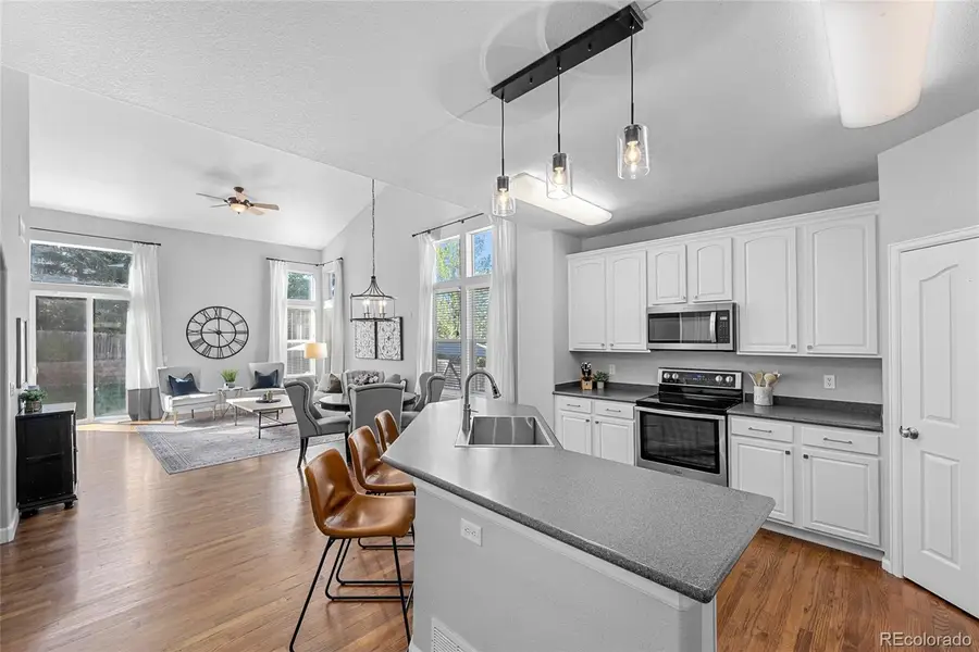 1002 Halfmoon Drive, Castle Rock, CO 80104 - #3