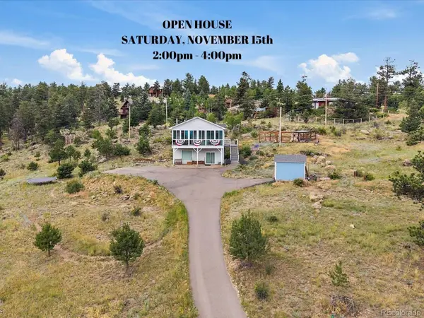 147 Overlook Drive, Bailey, CO 80421