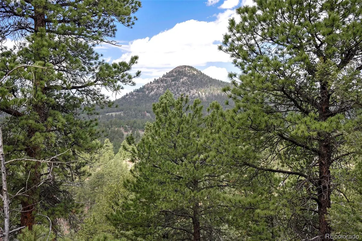 293 Badger Trail, Florissant, CO 80816 - #1