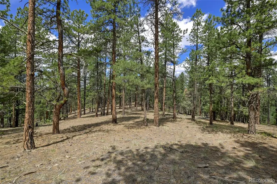 293 Badger Trail, Florissant, CO 80816 - #3