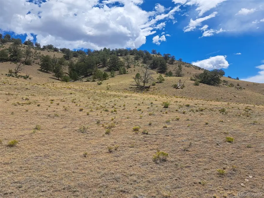 2994 Vista Grande Court, Como, CO 80432 - #3