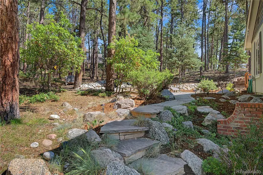 1250 Woodmoor Drive, Monument, CO 80132 - #3