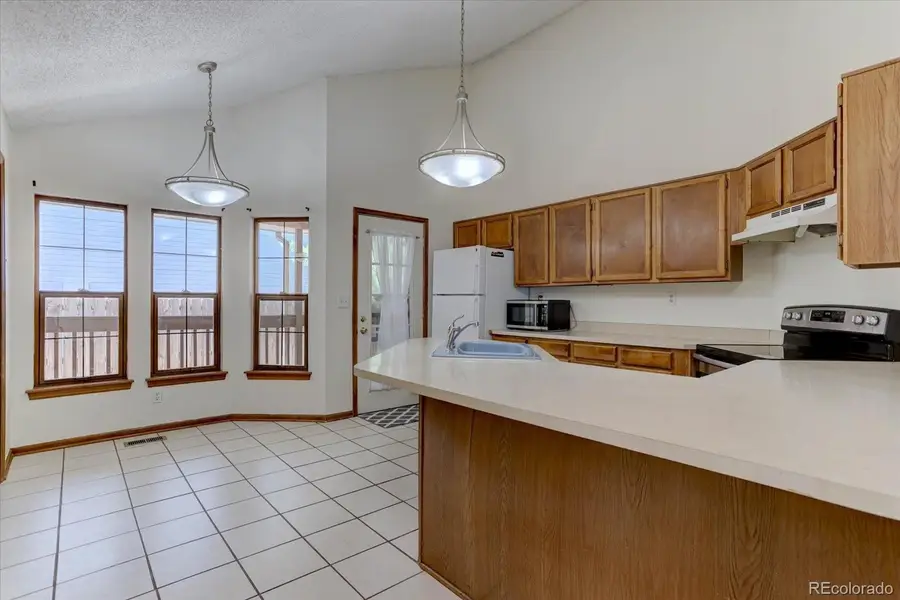 16775 Blue Mist Circle, Parker, CO 80134 - #3