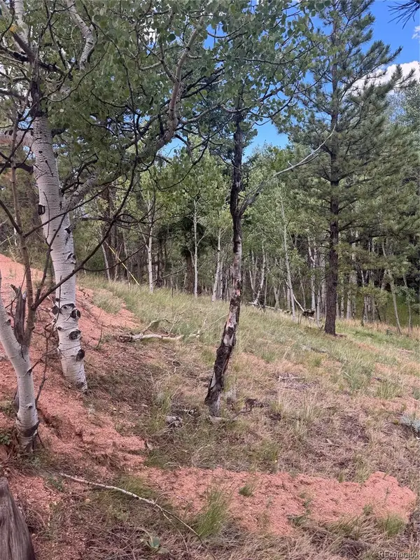 40 Sequoia Trail, Woodland Park, CO 80863